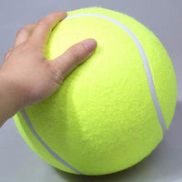 Thumbnail for The Giant Tennis Ball