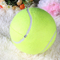 Thumbnail for The Giant Tennis Ball