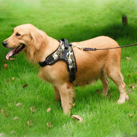 Thumbnail for Adjustable Pet Dog Harness