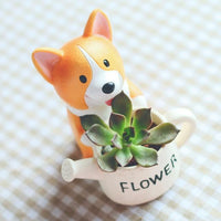 Thumbnail for Corgi Pot PeekWise