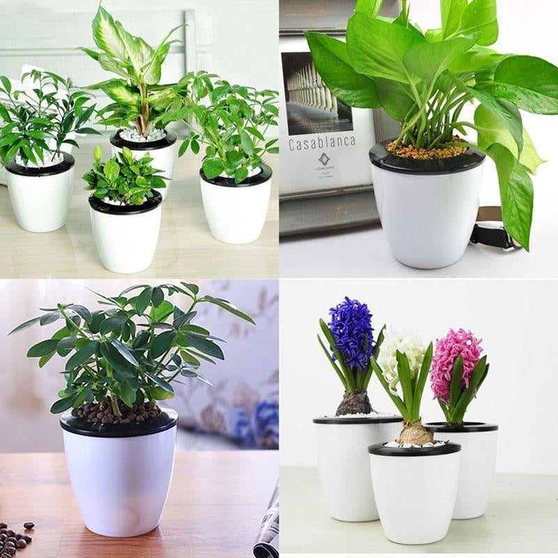 Pcs Self Watering Flower Pot Various Sizes Decorative Mushroom Gift PeekWise