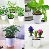 Thumbnail for Pcs Self Watering Flower Pot Various Sizes Decorative Mushroom Gift PeekWise