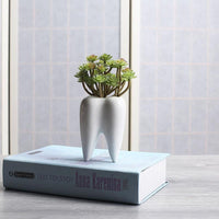 Thumbnail for Tooth Ceramic Flower Pot PeekWise