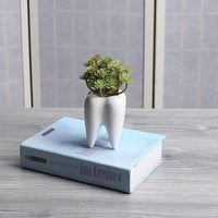 Thumbnail for Tooth Ceramic Flower Pot PeekWise