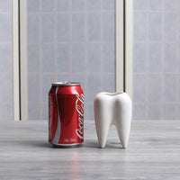 Thumbnail for Tooth Ceramic Flower Pot PeekWise