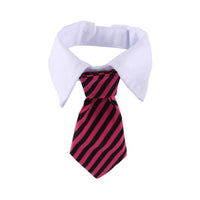 Thumbnail for Sugar & Cotton's Famous Pet Neckties
