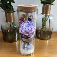 Thumbnail for Rose Lamp with Remote Control