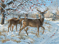 Thumbnail for Snowfall on Reindeer - GemPaint™ Kit