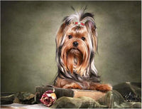 Thumbnail for It's a Dog's Life - GemPaint™ Kit