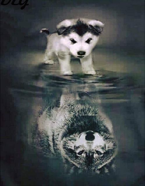 It's a Dog's Life - GemPaint™ Kit