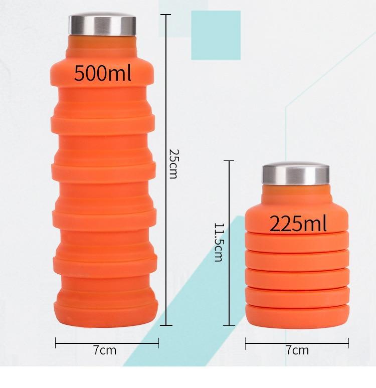 Collapsible Silicone Water Bottle