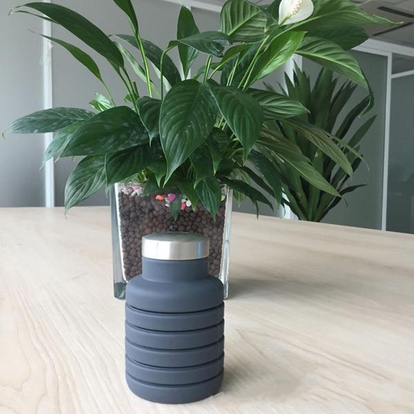 Collapsible Silicone Water Bottle