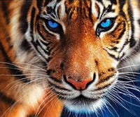 Thumbnail for Tiger on the Prowl - GemPaint™ Kit