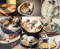 Thumbnail for Susie - Double Sided Fleece Pet Bed