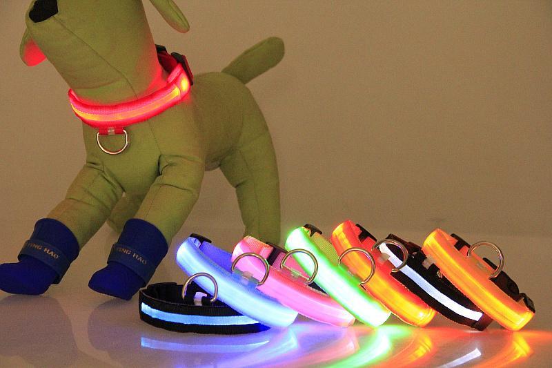 LED Dog Collar