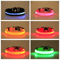 Thumbnail for LED Dog Collar