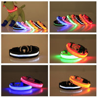 Thumbnail for LED Dog Collar