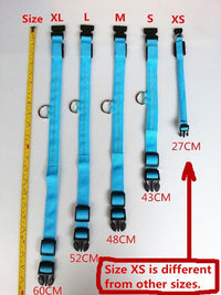 Thumbnail for LED Dog Collar