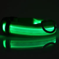 Thumbnail for LED Dog Collar