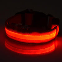 Thumbnail for LED Dog Collar