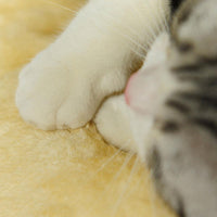 Thumbnail for Coco - Animal Theme Nest Pet Bed