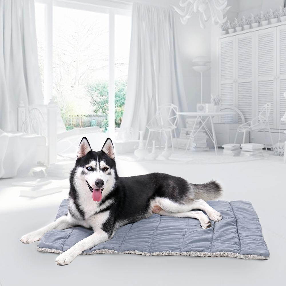 Evie - Foldable Travel Pet Bed