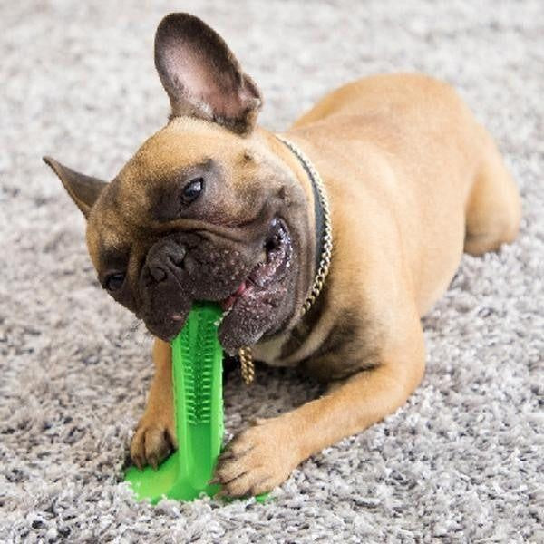 Teeth Cleaning Dog Toothbrush & Chew Toy - PeekWise