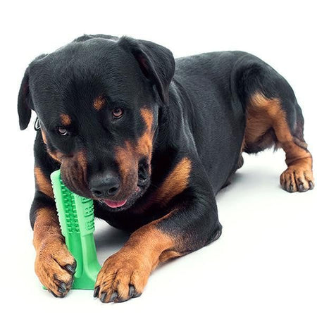 Teeth Cleaning Dog Toothbrush & Chew Toy - PeekWise