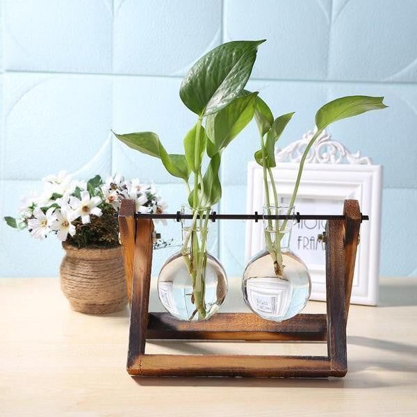 Wooden Terrarium Desk Planter - PeekWise