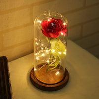 Thumbnail for Enchanted Rose Lamps