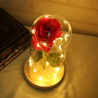Thumbnail for Enchanted Rose Lamps
