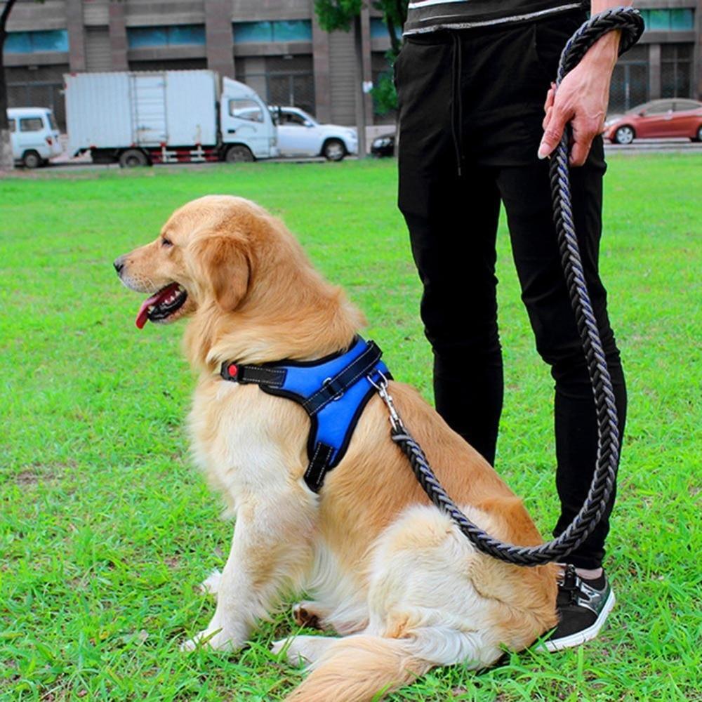 Adjustable Pet Dog Harness