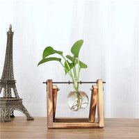 Thumbnail for Vintage Creative Transparent Plant Florarium PeekWise