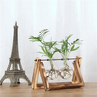 Thumbnail for Vintage Creative Transparent Plant Florarium PeekWise