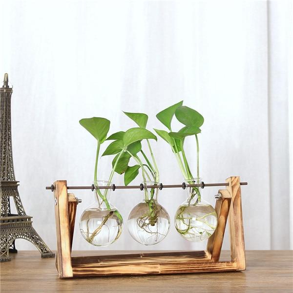 Vintage Creative Transparent Plant Florarium PeekWise