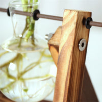 Thumbnail for Vintage Creative Transparent Plant Florarium PeekWise
