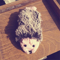 Thumbnail for Adorable Hedgehog Mittens
