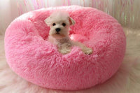 Thumbnail for Mini - Round Fluffy Plush Pet Bed