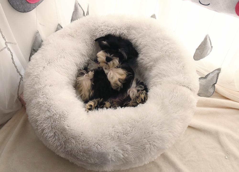 Mini - Round Fluffy Plush Pet Bed