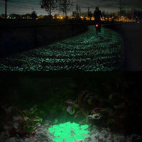 Thumbnail for Gleam - Glow-in-the-Dark Garden Pebbles