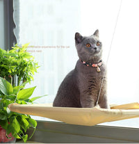 Thumbnail for Otis - Window Hammock Hanging Shelf Cat Bed