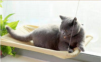 Thumbnail for Otis - Window Hammock Hanging Shelf Cat Bed