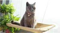Thumbnail for Otis - Window Hammock Hanging Shelf Cat Bed