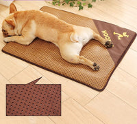 Thumbnail for Baxter - Summer Time Cooling Pet Mat
