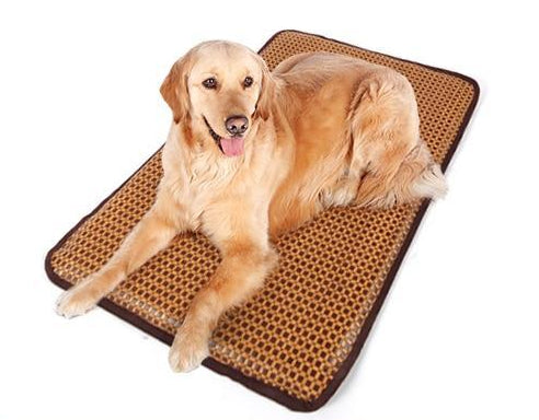 Baxter - Summer Time Cooling Pet Mat