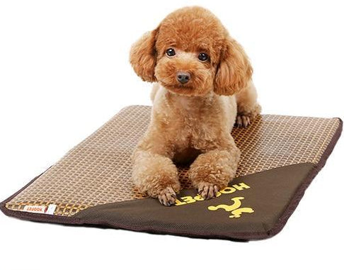 Baxter - Summer Time Cooling Pet Mat