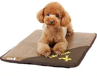 Thumbnail for Baxter - Summer Time Cooling Pet Mat