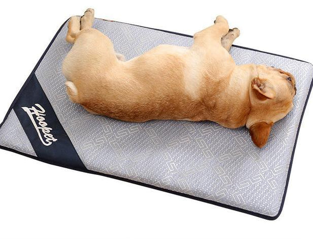 Baxter - Summer Time Cooling Pet Mat