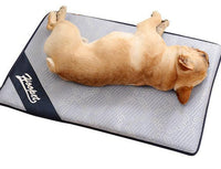 Thumbnail for Baxter - Summer Time Cooling Pet Mat