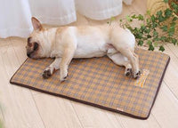 Thumbnail for Baxter - Summer Time Cooling Pet Mat